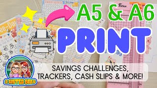 How to Print Savings Challenges Trackers  Full Size A5 amp A6 [upl. by Pentheam]