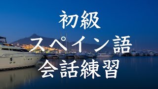 初級スペイン語会話トレーニング200  基本フレーズ聞き流し [upl. by Sigrid]