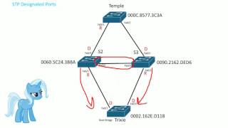 STP Designated ports [upl. by Uhn485]