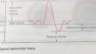 GCSE PE Lung volumes Spirometer trace [upl. by Kristoffer]