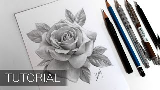 Tutorial  How to Draw a Realistic Rose [upl. by Yrehcaz]