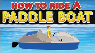 Learn How to Ride a Paddle Boat for Beginners in Just 2 Minutes [upl. by Natalya]