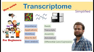 What is transcriptome Introduction part 1 Learn from scratch for beginners [upl. by Aynotahs]