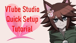 VTube Studio Quick Setup Tutorial [upl. by Stinky]