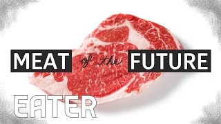 The Meat of the Future How LabGrown Meat Is Made [upl. by Fatima700]