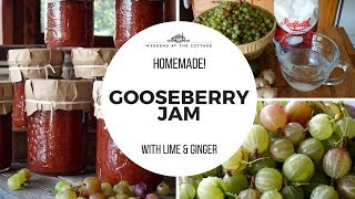 HOMEMADE GOOSEBERRY JAM  Delicious amp Flavourful [upl. by Oigolue73]