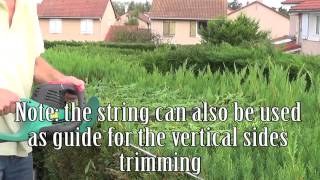 How to trimcut a hedge straight [upl. by Jefferey]