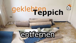 geklebten Teppich entfernen  Teil 1 [upl. by Tezile]