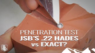 JSB Hades vs JSB Exact  airgun pellet penetration test [upl. by Hewet]