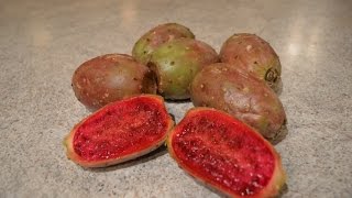 How to Prepare amp Eat Prickly Pears  aka Opuntia Cooking with Kimberly [upl. by Placeeda]