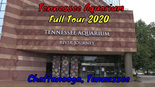 Tennessee Aquarium Full Tour  Chattanooga Tennessee [upl. by Aldercy109]