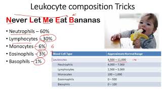 Leukocyte composition tricks to remember [upl. by Kcirddot]