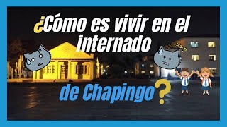 Beneficios de vivir en el internado de Chapingo 🙎‍♂️ 🙎‍♀️🏢 [upl. by Sayre16]