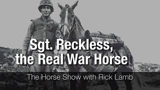 Sgt Reckless Reckless the Real War Horse [upl. by Nolad]