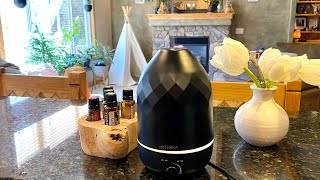 How to Clean Your Essential Oil Diffuser [upl. by Greysun308]