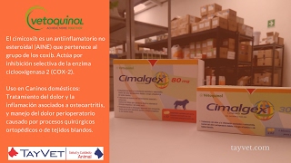 Cimalgex de Laboratorios Vetoquinol  Tayvet Distribuidora Veterinaria [upl. by Chud]