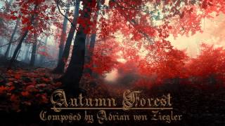 Relaxing Celtic Music  Autumn Forest [upl. by Fauman36]