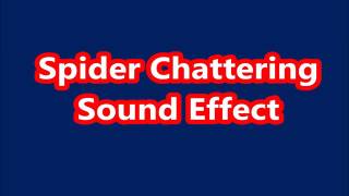 Spider Chattering Sound Effect [upl. by Enirac]