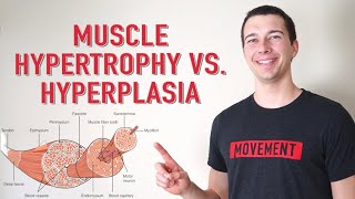 Myopathy and neuromuscular junctionopathy [upl. by Dazhahs]