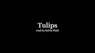 Sylvia Plath reading Tulips [upl. by Andel]