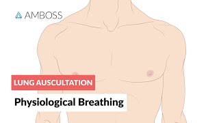 Physiological breathing  Lung Auscultation  Episode 1 [upl. by Aiker]