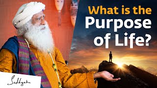 What is the Purpose of Life  Sadhguru [upl. by Auos]