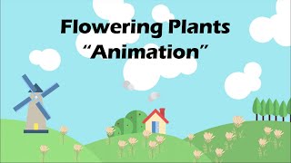 FLOWERING PLANTS Biology Animation [upl. by Nesyaj]