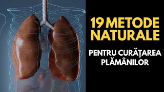 19 Remedii naturale pentru curățarea plămânilor [upl. by Aloin]