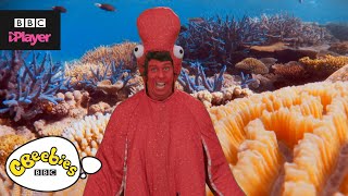 Andys Aquatic Raps  Funky Octopus  CBeebies [upl. by Brannon]