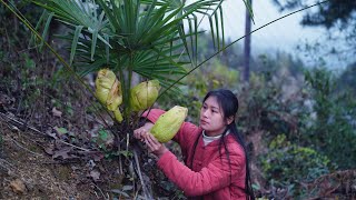 Cooking with Wild Ingredients from the Mountain [upl. by Hadias35]