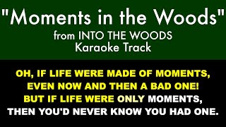 quotMoments in the Woodsquot from Into the Woods  Karaoke Track with Lyrics on Screen [upl. by Gusba]