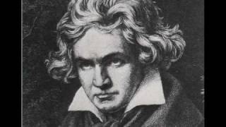 Ludwig van Beethoven  Funeral March Part 1 [upl. by Jolda]