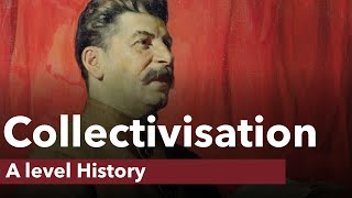 Collectivisation in the USSR  A level History [upl. by Mccormac]