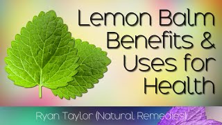 Lemon Balm Benefits and Uses Melissa [upl. by Anne-Marie]