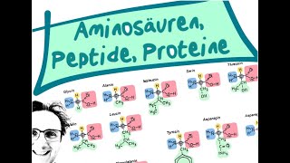 AminosäurenPeptideProteine [upl. by Amahcen]