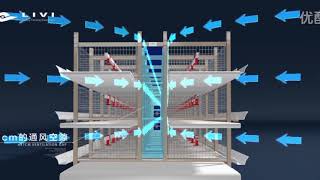 Poultry Farming  Broiler colony cage system [upl. by Tekla]