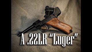 Stoeger Luger 22 Disassembly [upl. by Nileuqay]