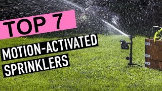 BEST MOTION ACTIVATED SPRINKLER [upl. by Nami213]