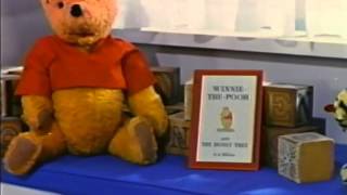 Opening to Winnie the Pooh and the Honey Tree 1993 VHS [upl. by Yreme699]