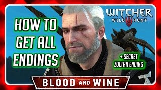 The Witcher 3 Blood and Wine All Cutscenes Full Game Movie 1080p HD [upl. by Oiceladni]