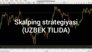 SCALPING STRATEGIYASI UZBEK TILIDA [upl. by Vernice]