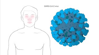 How does Modernas Coronavirus vaccine work [upl. by Erica367]