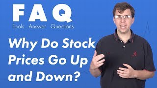 Why Stock Prices Go Up and Down Explained With Tilray [upl. by Hannaj211]