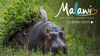 Visit Malawi [upl. by Terrena]