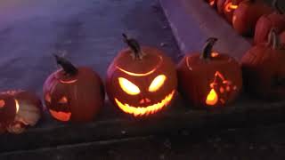 2024 JackOLantern Spectacular in Springfield Illinois [upl. by Billi700]