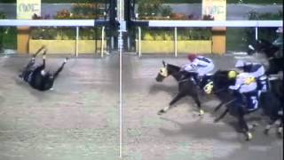 Perhaps this is the horse racing accident you never seen in your live [upl. by Almita159]