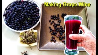 How To Make Grape Wine at Home  Homemade Red Wine Recipe  Craft Village [upl. by Maclean]