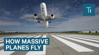 How To Fly A Plane  Learn to fly a plane in 5 minutes [upl. by Konstance679]