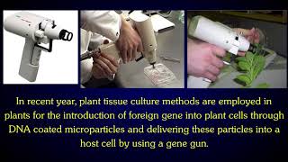 APPLICATIONS OF PLANT TISSUE CULTURE [upl. by Anahsar]