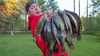 GIANT Black CRAPPIE Catch amp Cook [upl. by Ramsden]